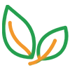 綠色環(huán)保